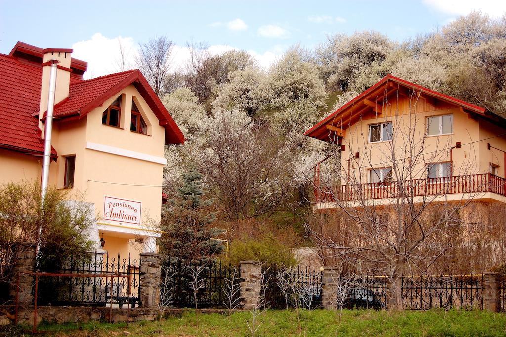 Pensiunea Ambiance Piatra Neamt Exterior photo