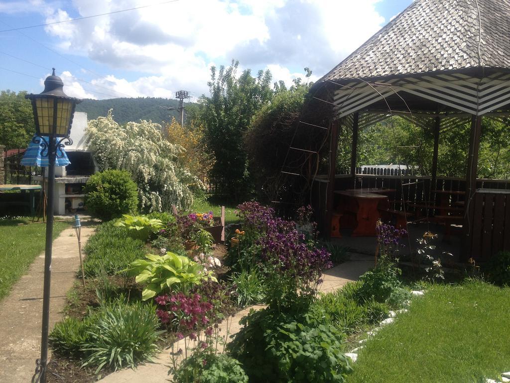 Pensiunea Ambiance Piatra Neamt Exterior photo